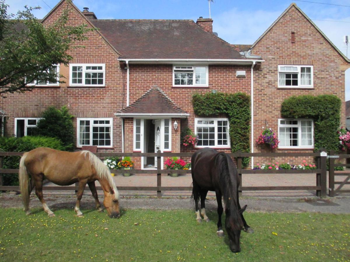 Villa Hops Main House, Brockenhurst, New Forest Exterior foto